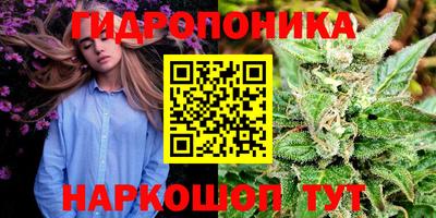 тгк Аргун